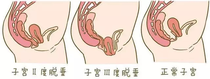 1730186470486150.jpg